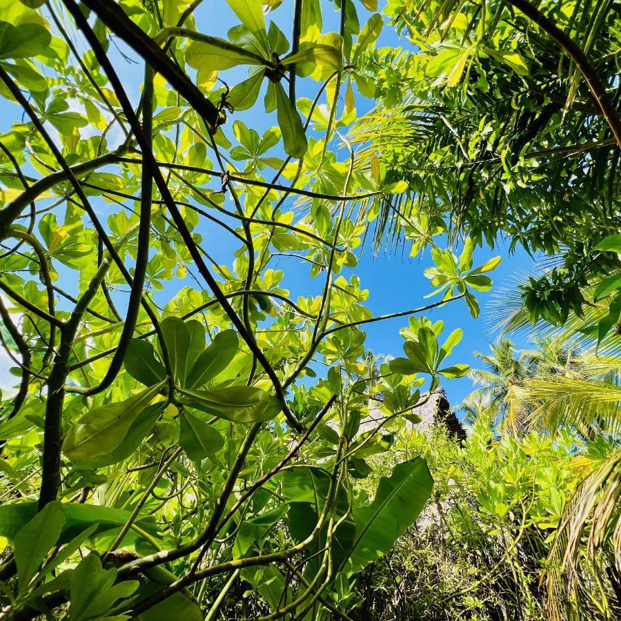 Wind Blend Kite Resort Kalpitiya Eksteriør bilde