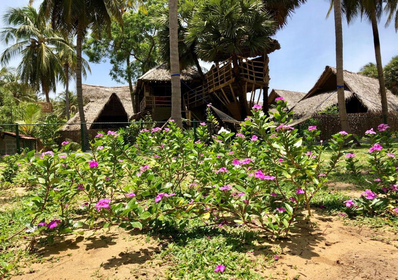 Wind Blend Kite Resort Kalpitiya Eksteriør bilde